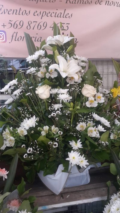 WhatsApp Image 2026-04-02 at 10.59.47(1)